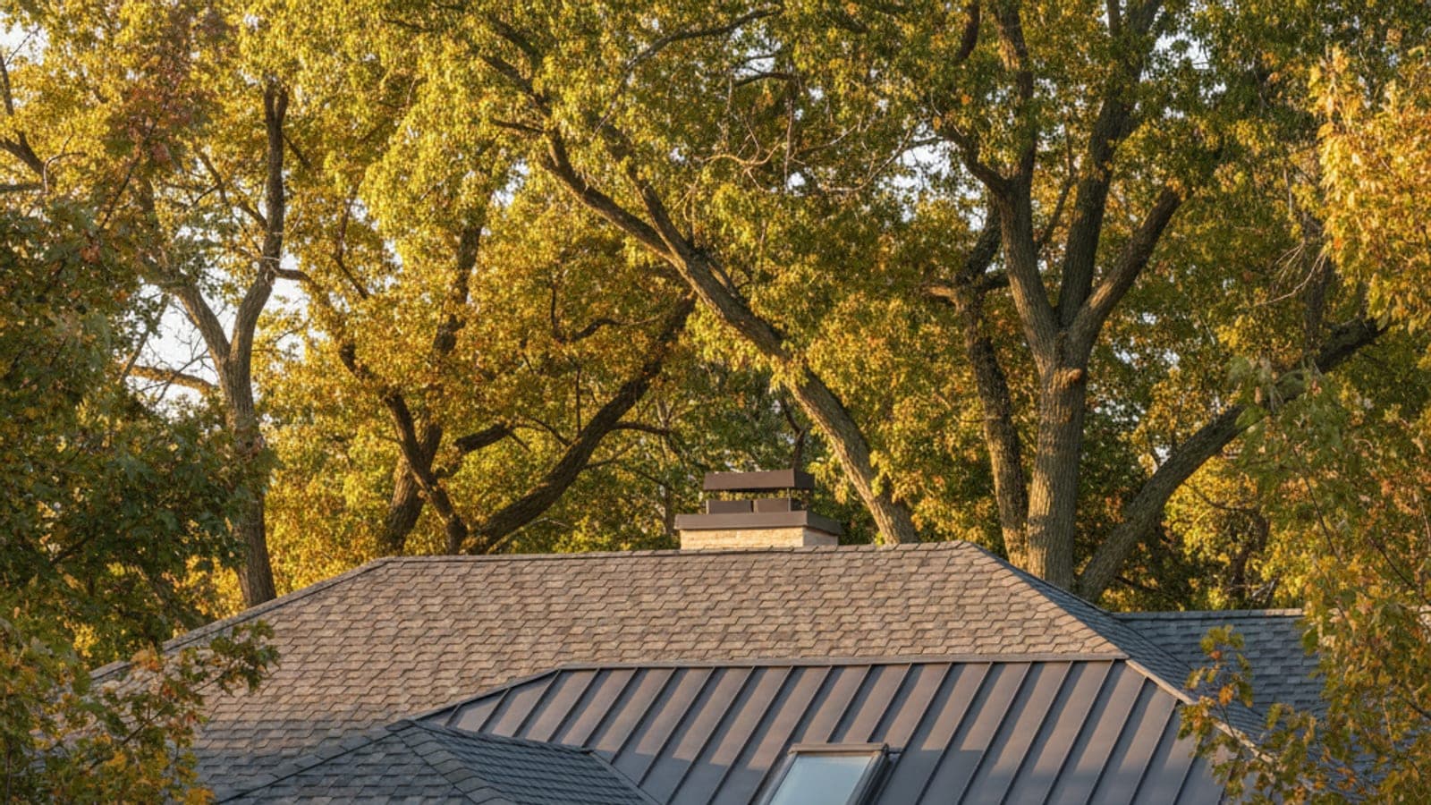 5 Signs It’s Time to Replace Your Roof or Siding