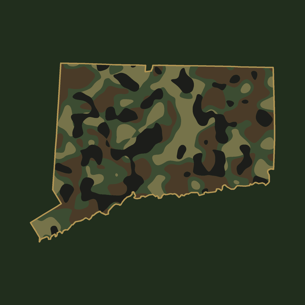 Connecticut service area